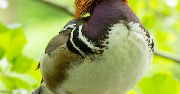 Quelles sont les 4 types d'entreprises ?